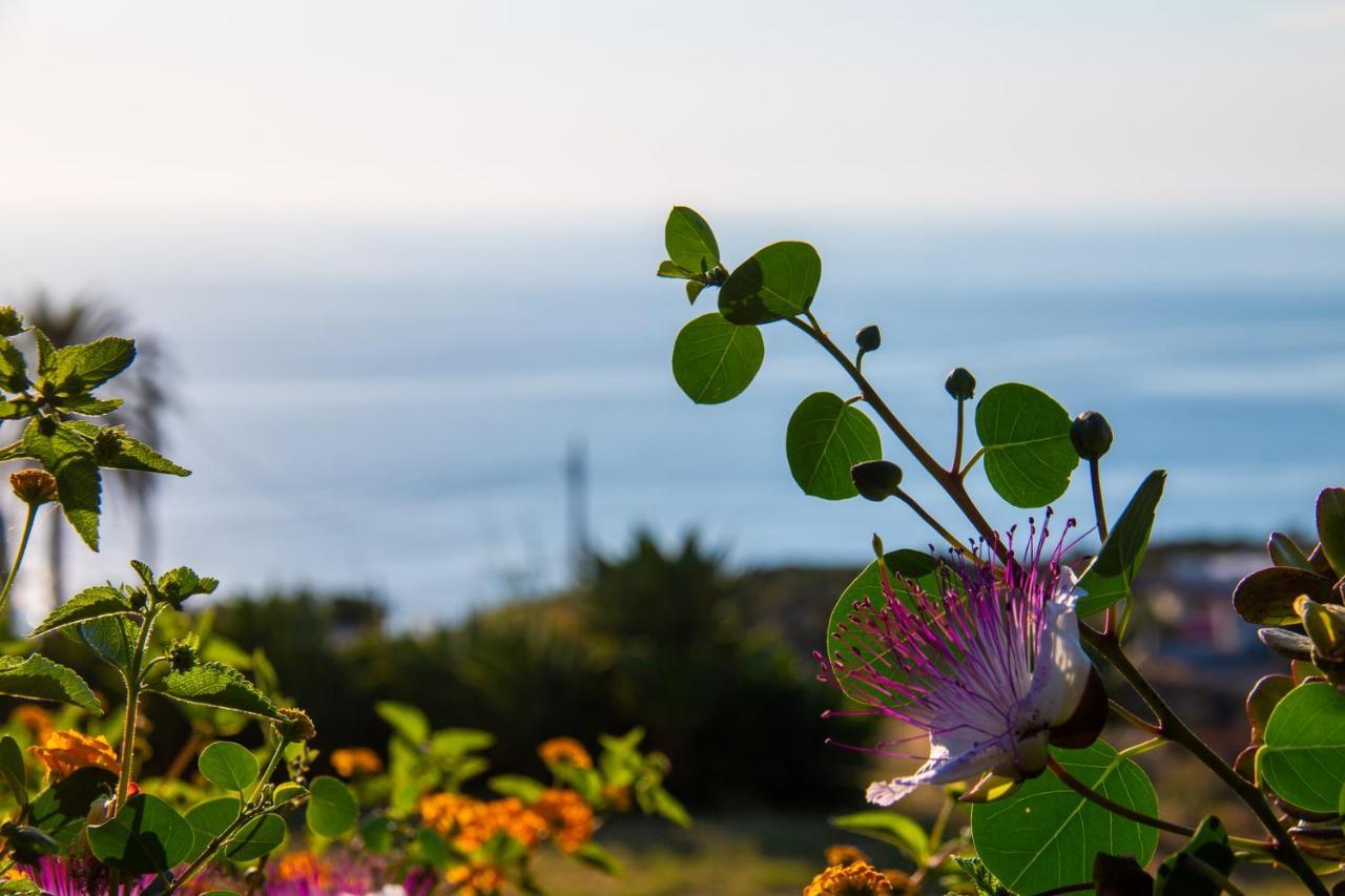 Agriturismo Al Cappero Malfa Kültér fotó