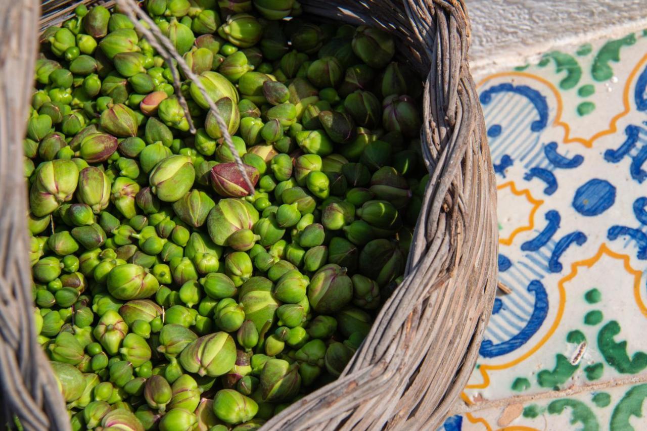 Agriturismo Al Cappero Malfa Kültér fotó